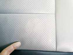 �p���`���O���U�[�{�H��