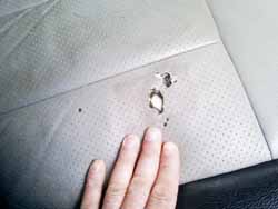 �p���`���O���U�[�{�H�O