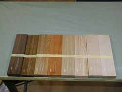 �T���v���{�H�O